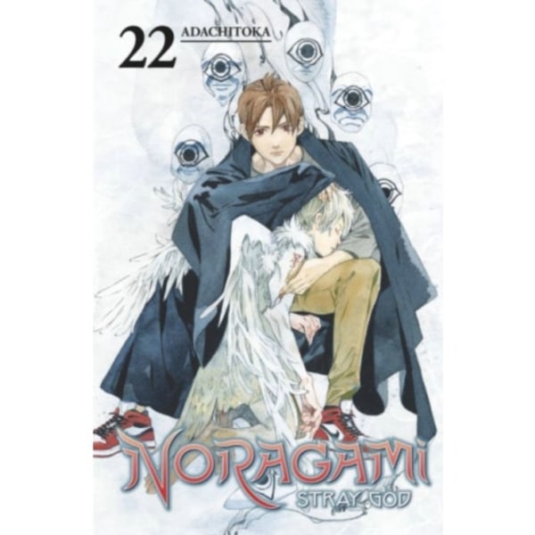 Noragami: Stray God 22 (häftad, eng)