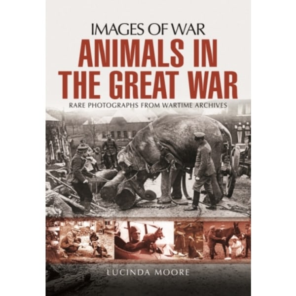 Animals in the Great War (häftad, eng)