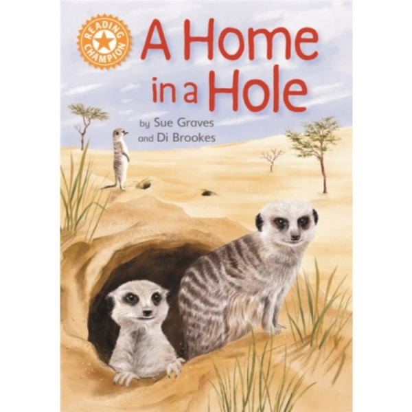 Reading Champion: A Home in a Hole (inbunden, eng)