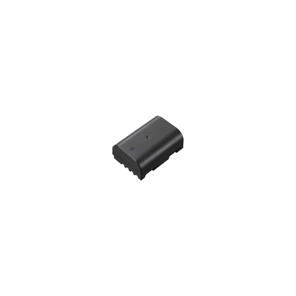 Panasonic Battery DMW-BLF19E