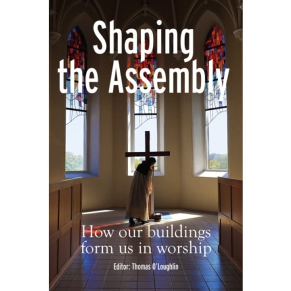 Shaping the Assembly (häftad, eng)