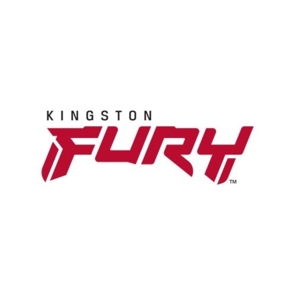 Kingston FURY Beast - DDR5 - sats - 32 GB: 2 x 16 GB - DIMM 288-pin - 3000 MHz / PC5-48000 - ej buffrad