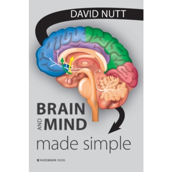 Brain and Mind Made Simple (häftad, eng)