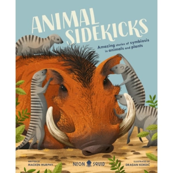 Animal Sidekicks (inbunden, eng)