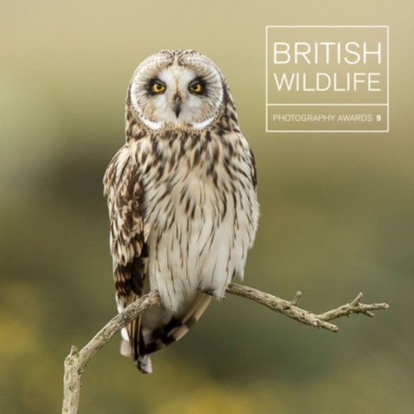 British Wildlife Photography Awards 9 (inbunden, eng)