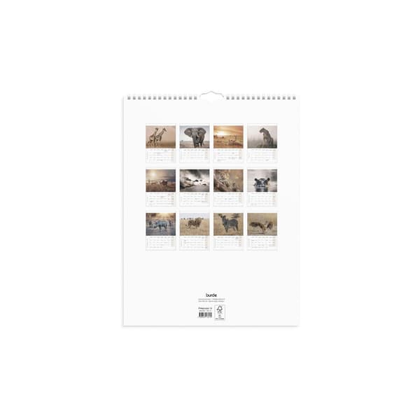 Väggkalender Savannen 2027