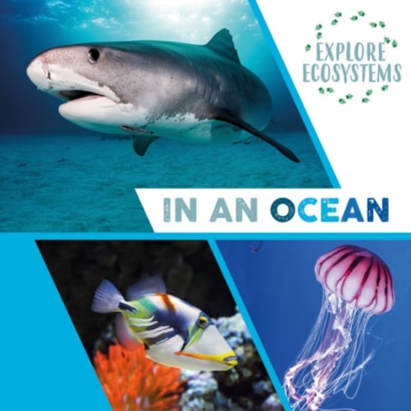Explore Ecosystems: In an Ocean (häftad, eng)