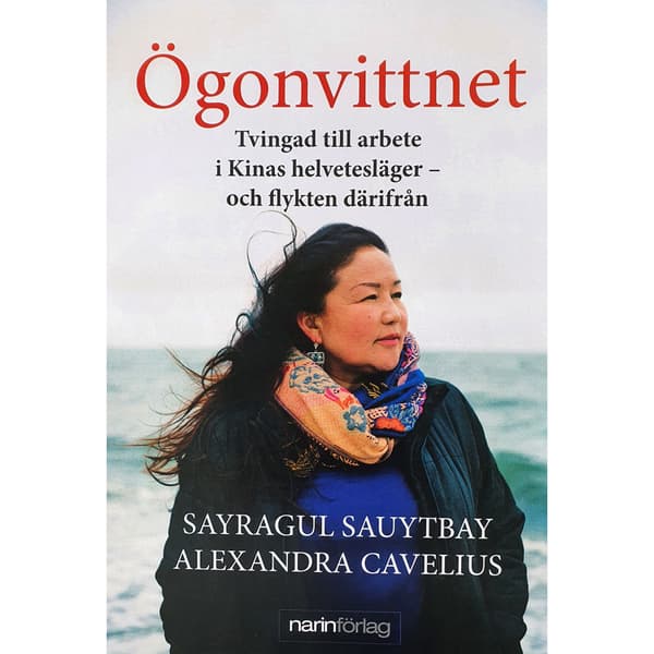 Ögonvittnet (bok, storpocket)