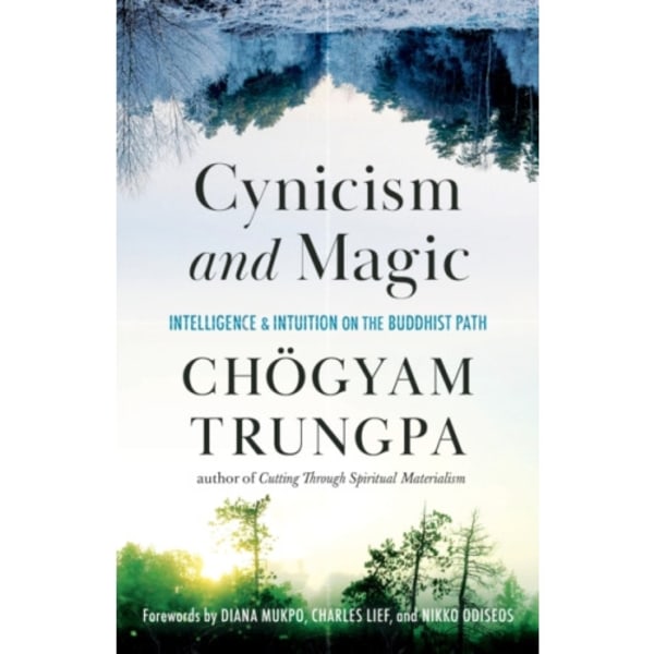 Cynicism and Magic (häftad, eng)