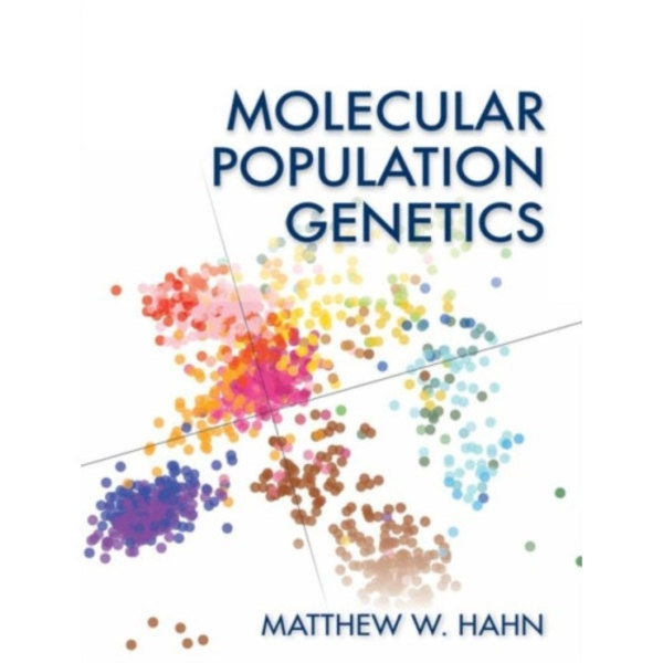 Molecular Population Genetics (häftad, eng)