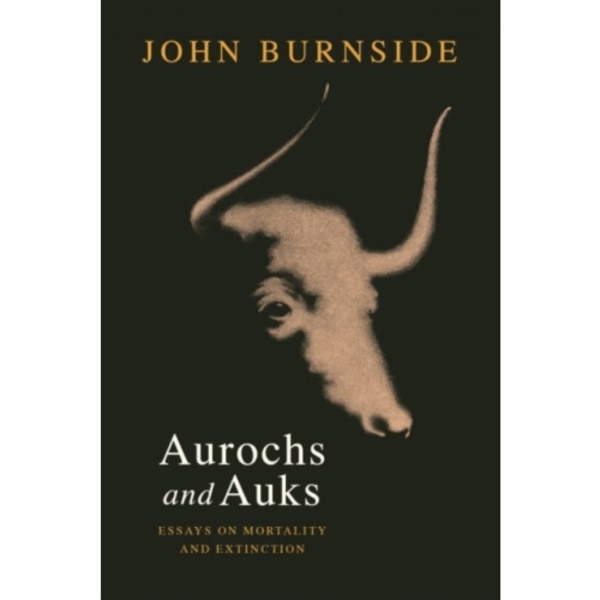 Aurochs and Auks (inbunden, eng)
