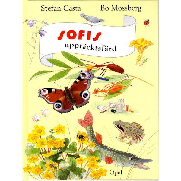 Sofis upptäcktsfärd (inbunden)