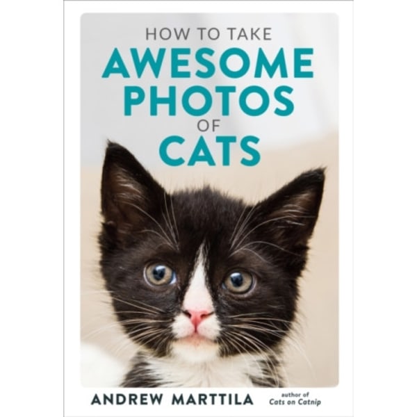 How to Take Awesome Photos of Cats (inbunden, eng)