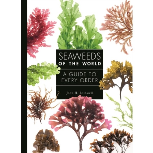 Seaweeds of the World (inbunden, eng)