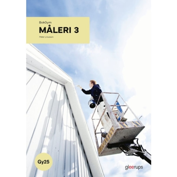 BokGym Måleri 3, bok, Gy25 (bok, spiral)