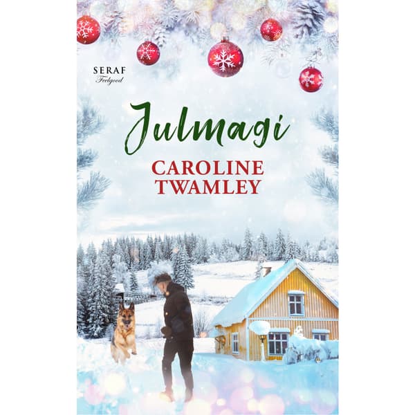 Julmagi (bok, danskt band)