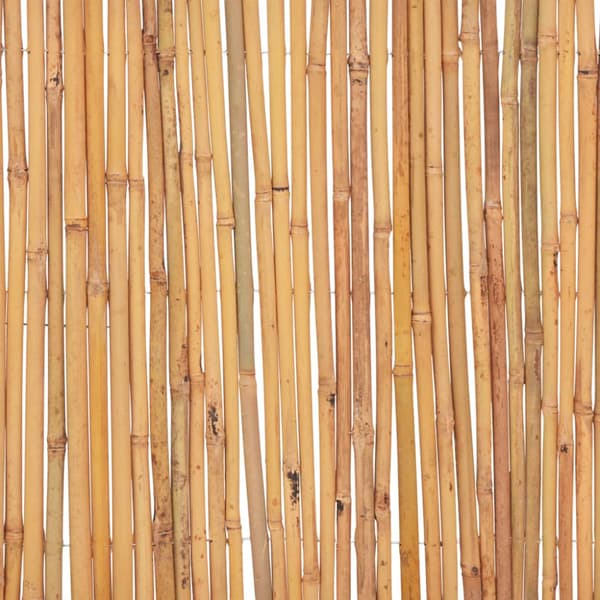Staket bambu 500x30 cm
