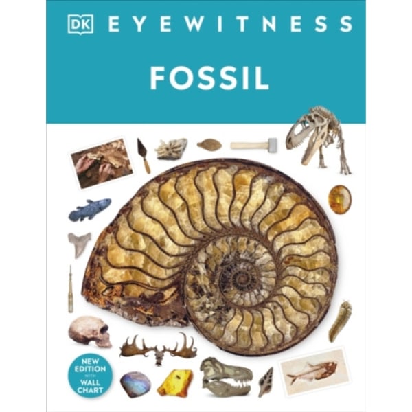 Fossil (inbunden, eng)