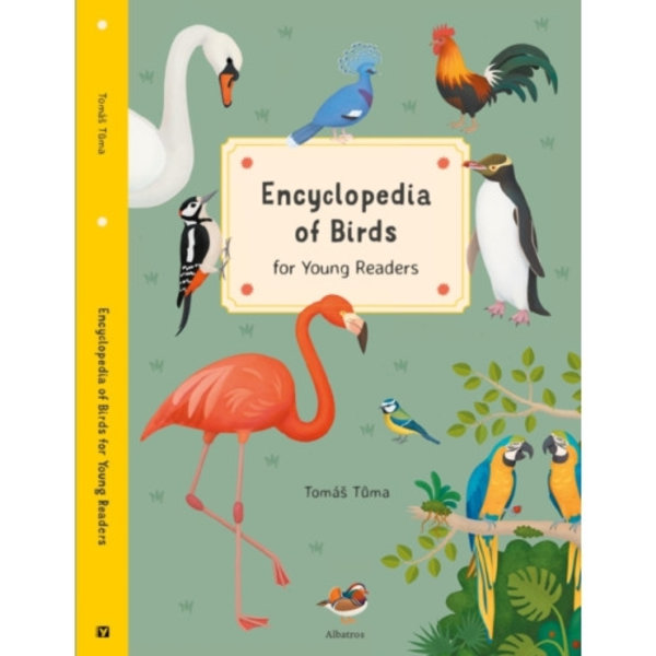 Encyclopedia of Birds (inbunden, eng)