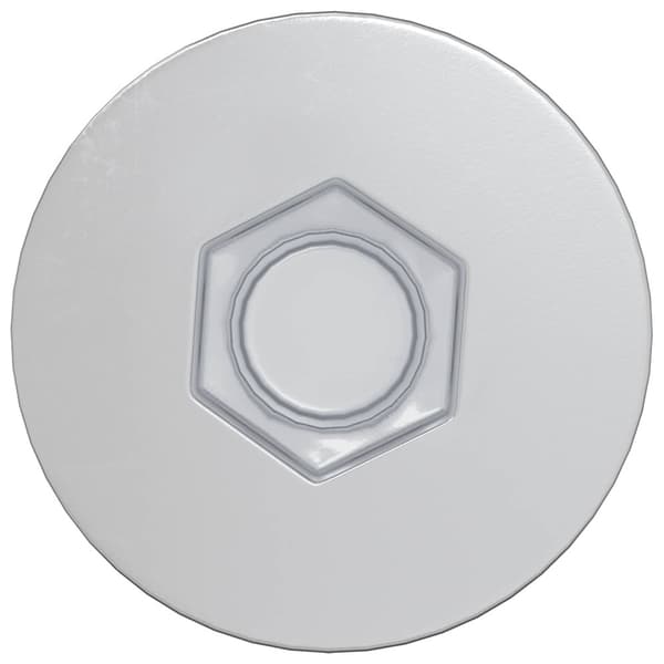 Konfirmationsskruvar 12 pcs Silver Ø7 x 50 mm Metall
