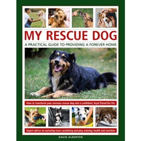 My Rescue Dog: A practical guide to providing a forever home (inbunden, eng)