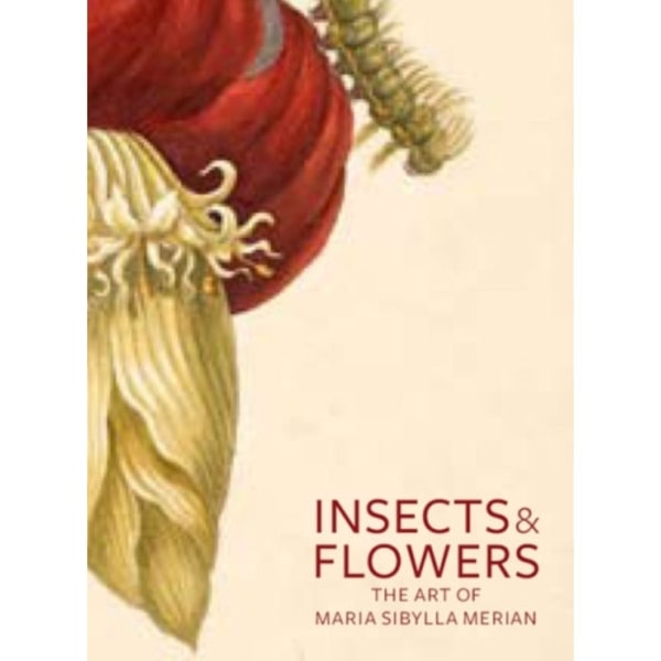 Insects and Flowers – The Art of Maria Sibylla Merian (häftad, eng)