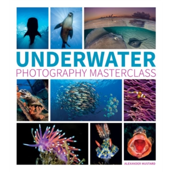 Underwater Photography Masterclass (häftad, eng)