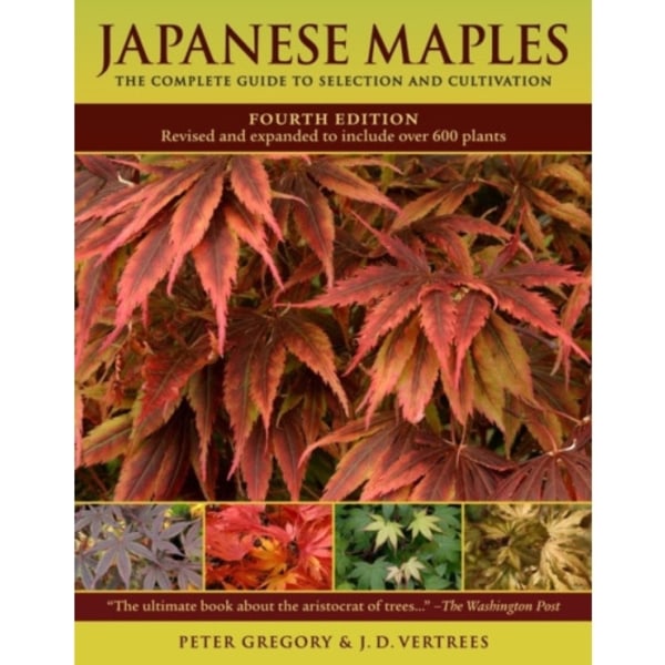 Japanese Maples (inbunden, eng)
