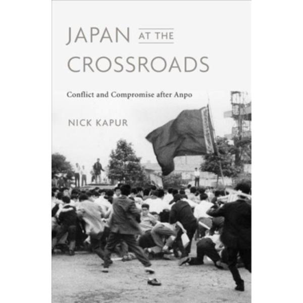 Japan at the Crossroads (inbunden, eng)