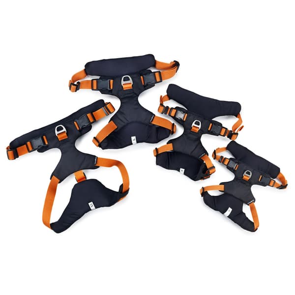 Sportsele Emmi Orange XL