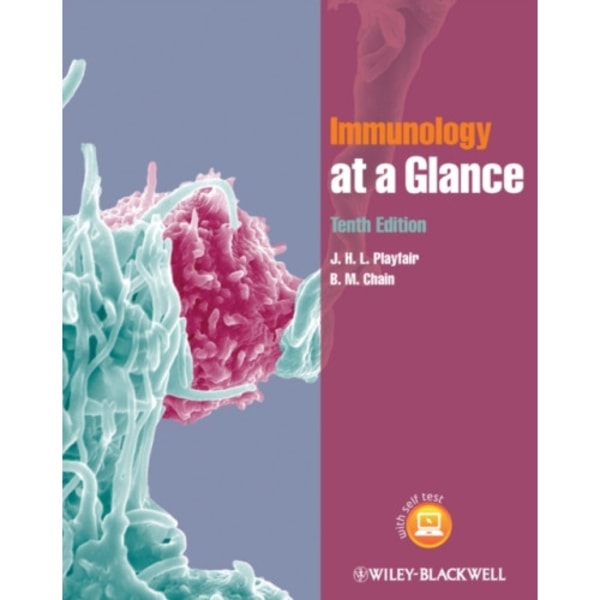 Immunology at a Glance (häftad, eng)
