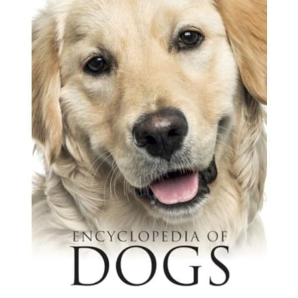 Encyclopedia of Dogs (häftad, eng)