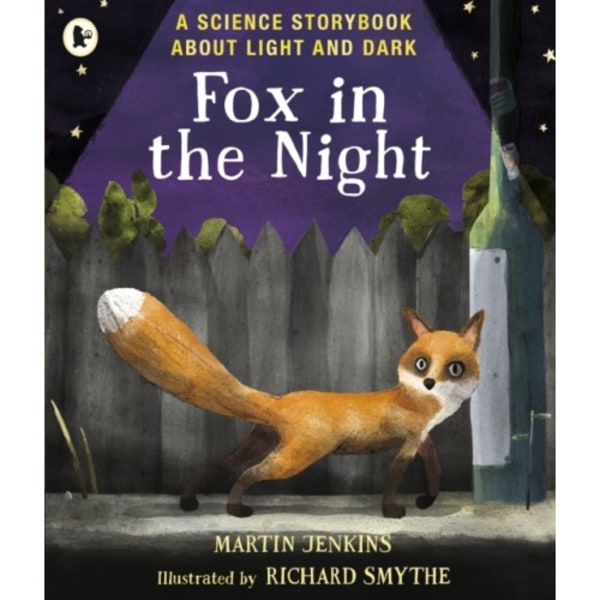 Fox in the Night: A Science Storybook About Light and Dark (häftad, eng)