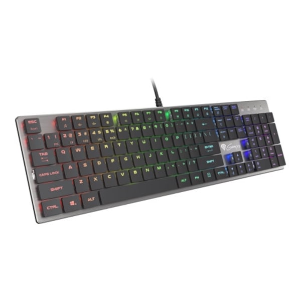 Genesis Thor 420 RGB - tangentbord - amerikansk - silver Inmatningsenhet Silver