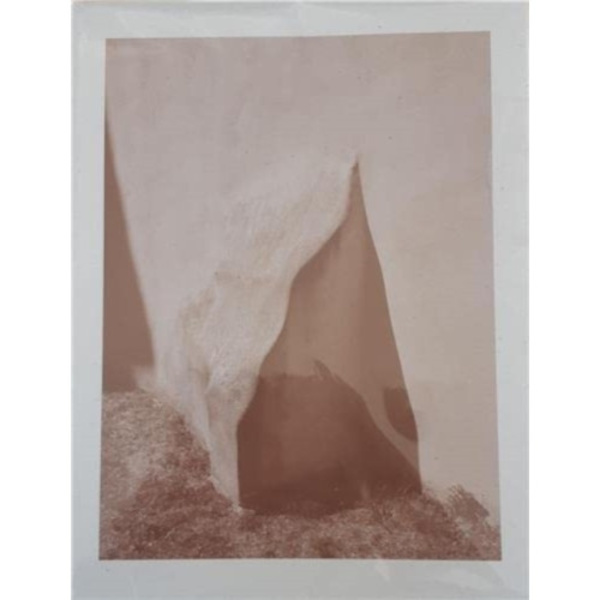 Shivers (häftad, eng)