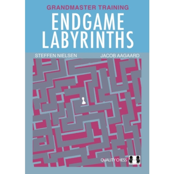 Endgame Labyrinths (häftad, eng)