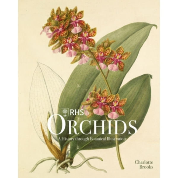 RHS Orchids (inbunden, eng)