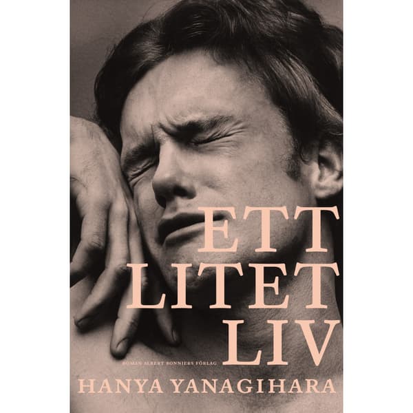 Ett litet liv (bok, storpocket)