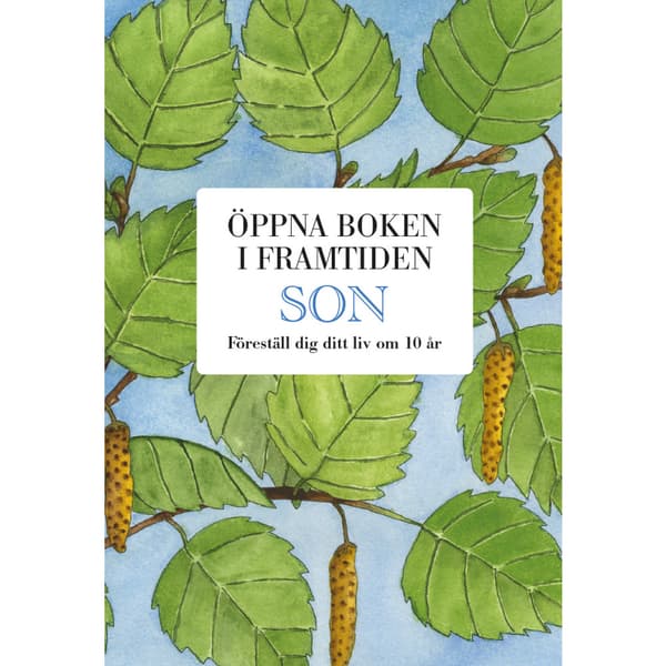 Son : öppna boken i framtiden (bok, kartonnage)