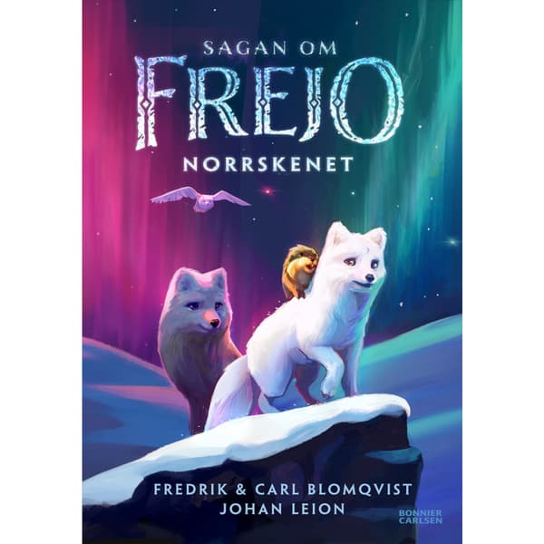 Norrskenet (inbunden)