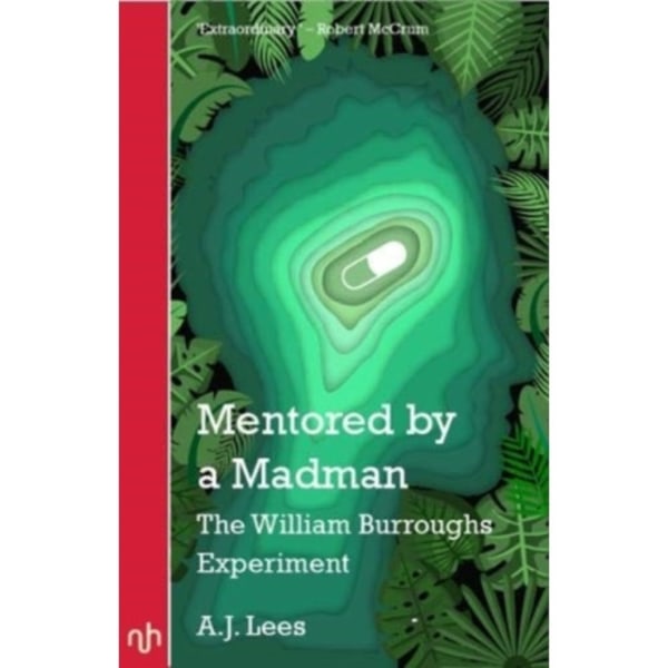 Mentored by a Madman (häftad, eng)
