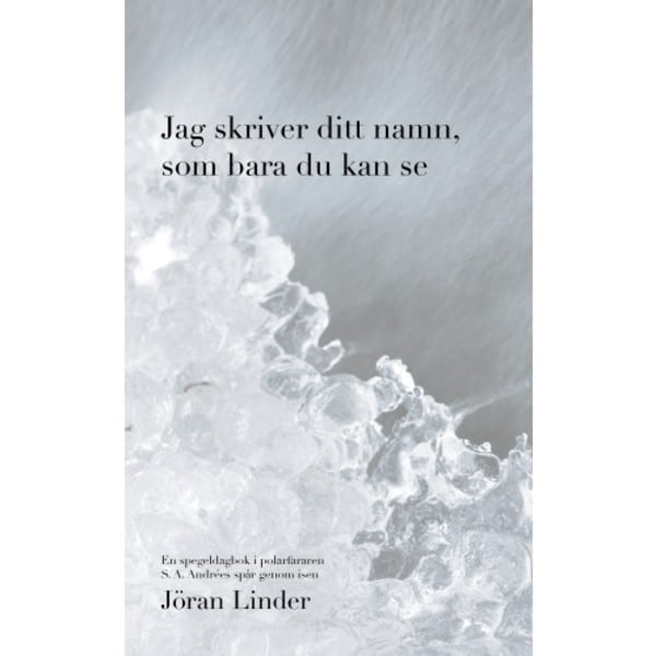 Jag skriver ditt namn som bara du kan se : en spegeldagbok i polarfararen S. A. Andrées spår genom isen (bok, danskt band)