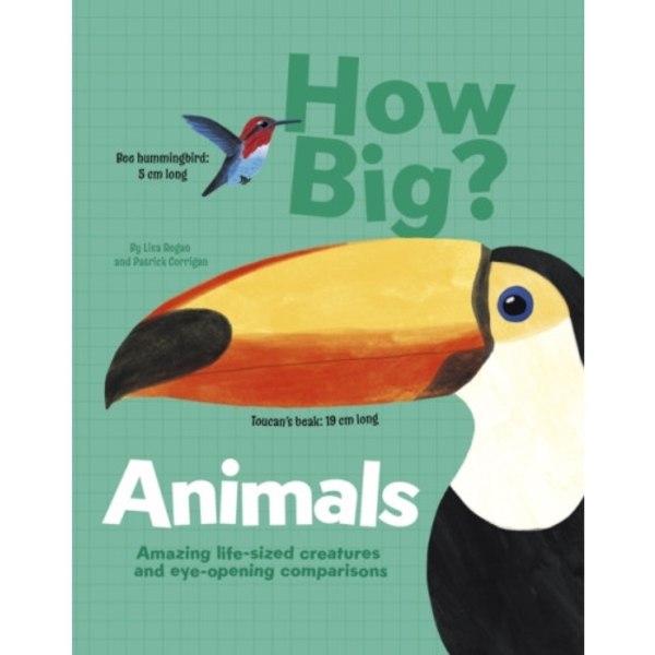 How Big? Animals (inbunden, eng)