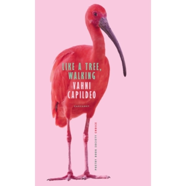 Like a Tree, Walking (häftad, eng)