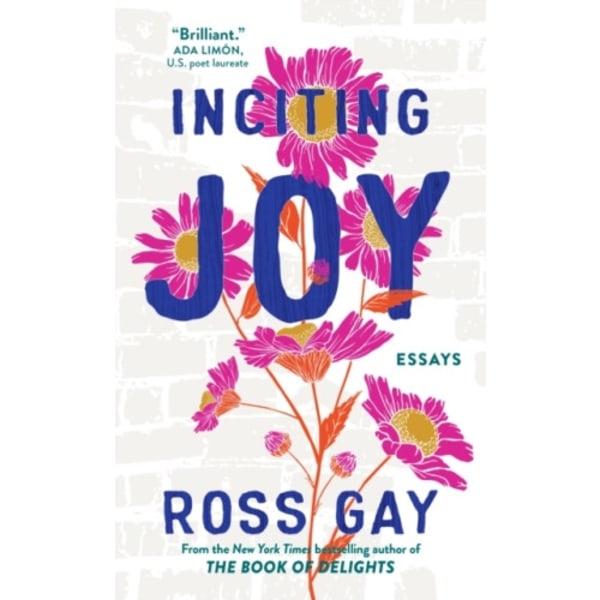 Inciting Joy (inbunden, eng)