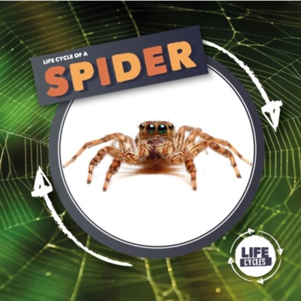Life Cycle Of A Spider (inbunden, eng)