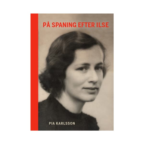 På spaning efter Ilse (bok, danskt band)