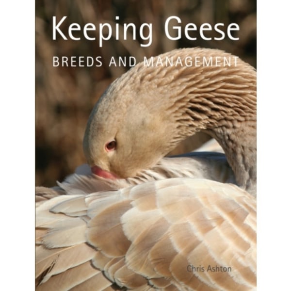 Keeping Geese (häftad, eng)