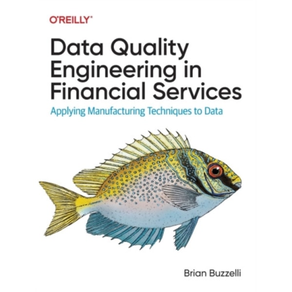 Data Quality Engineering in Financial Services (häftad, eng)