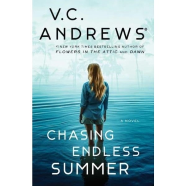 Chasing Endless Summer (häftad, eng)